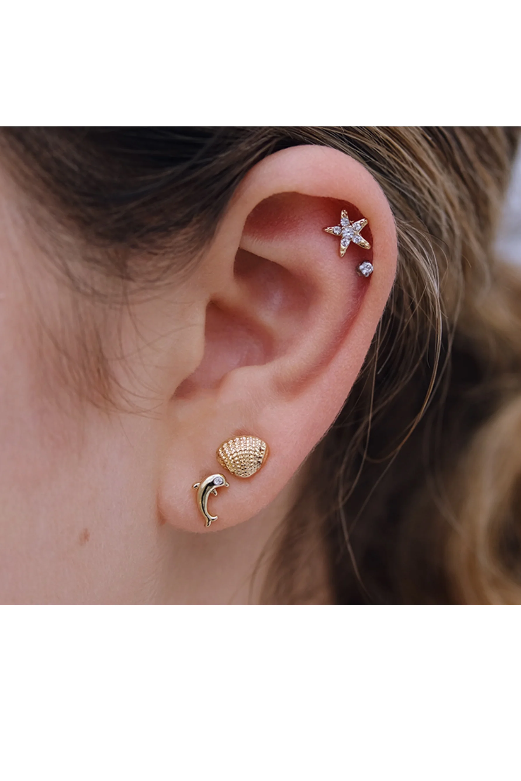 EURO 53370 Shell + Dolphin + Starfish Trio - Image 2