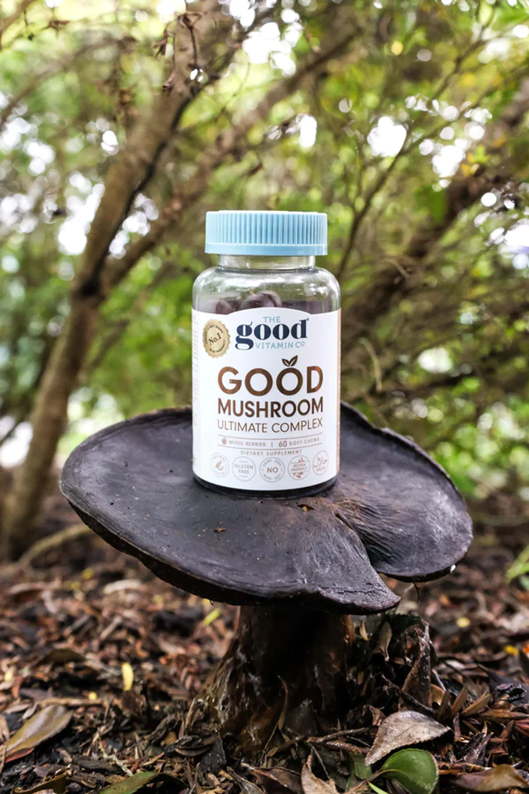 THE GOOD VITAMIN CO Good Mushroom Ultimate Complex 60s - Image 2