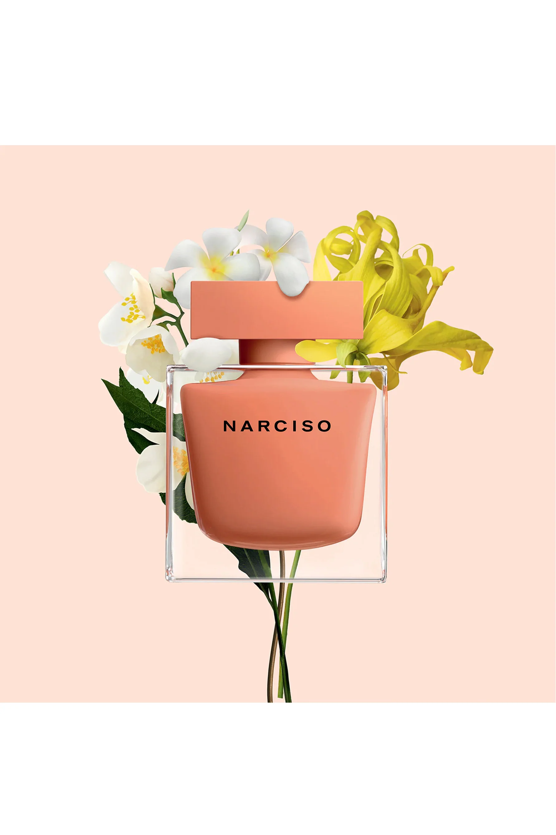 NARCISO Ambree EDP Spray 50ml - Image 3
