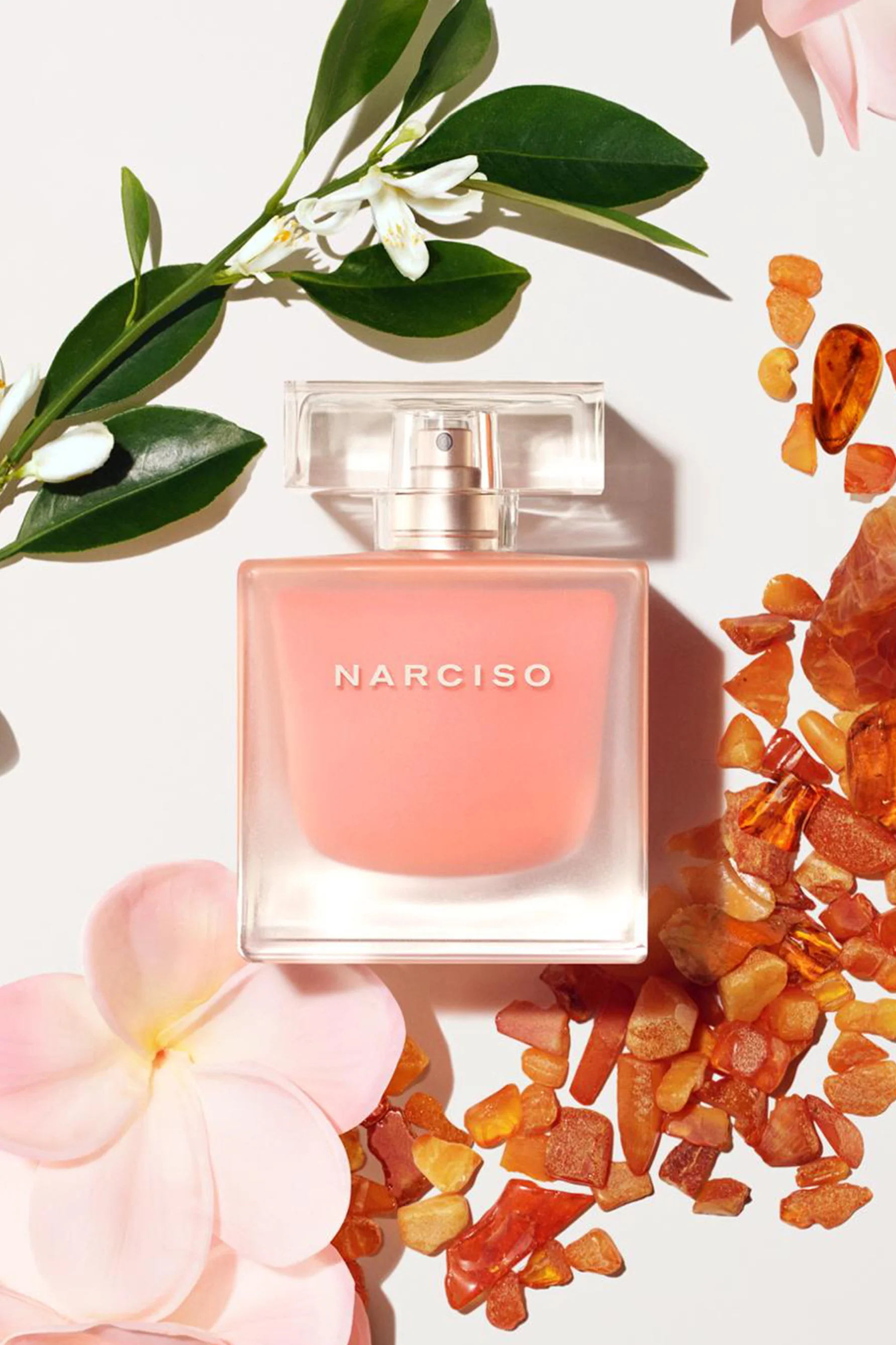NARCISO RODRIGUEZ Ambree Neroli EDT 50ml - Image 2